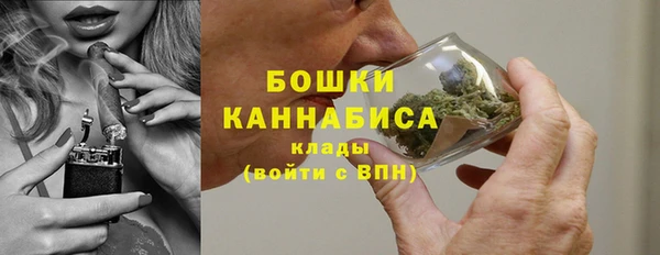 spice Володарск
