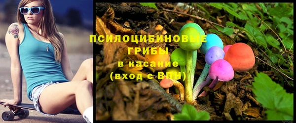 spice Володарск