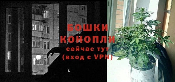 spice Володарск