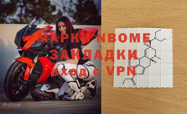 амф Тайга